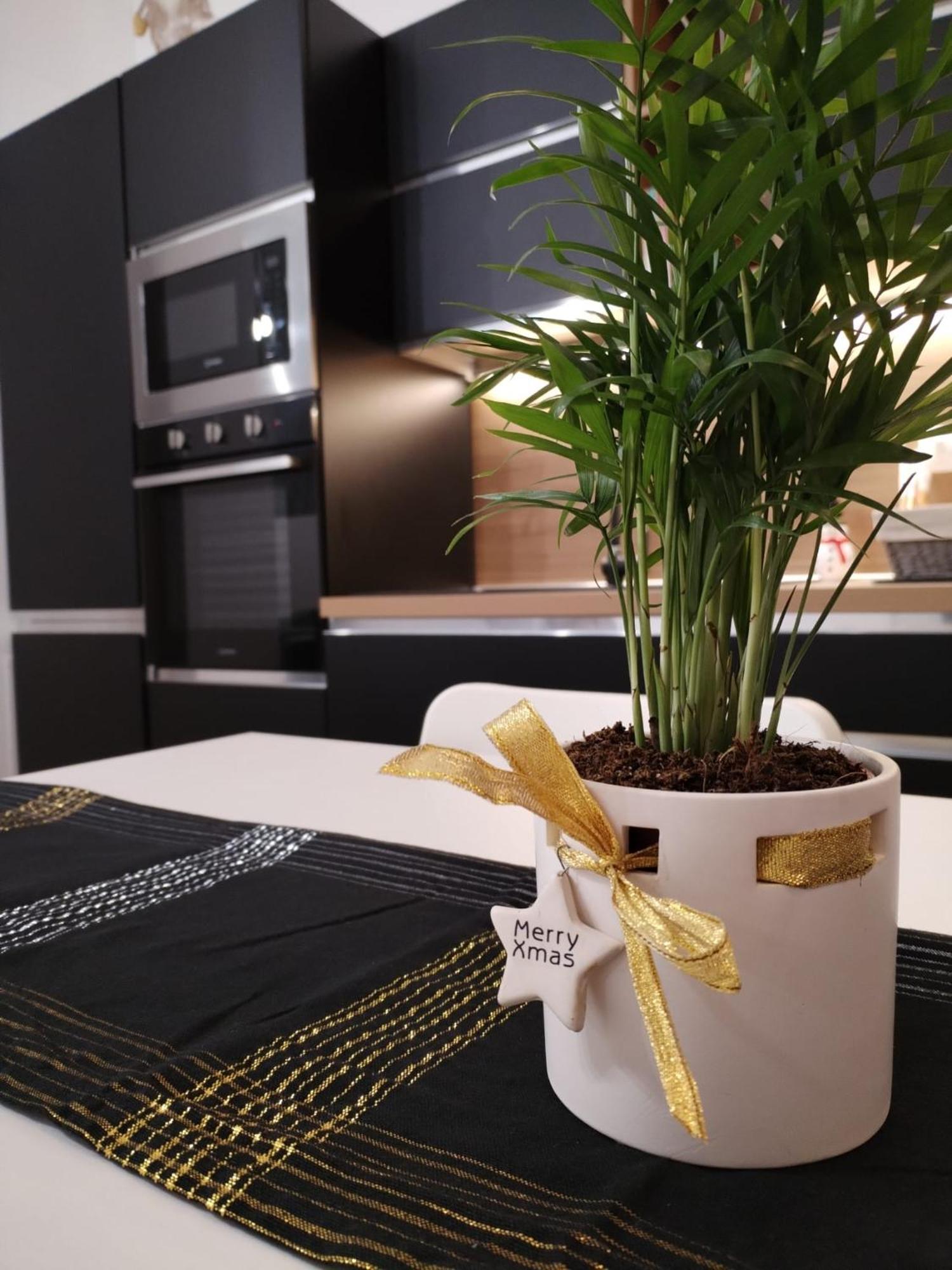 Central Loft Carina Ideale Per Visitare Il Centro Di Torino מראה חיצוני תמונה